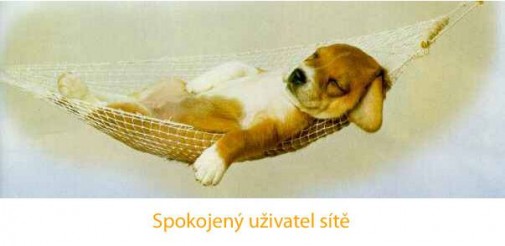 Príspevok 23135